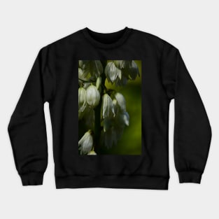 Nature’s Window: Vanilla Ice Cream Crewneck Sweatshirt